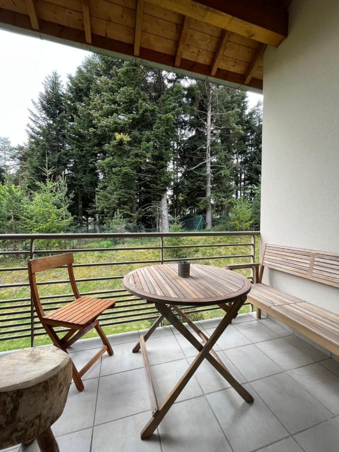 Ferienwohnung "Les Oiseaux" Avec Terrasse, Parking, Duplex Le Chambon-sur-Lignon Exterior foto